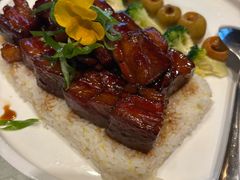 -海派美食·家宴海鲜青岛菜·石锅鲽鱼头(东方城店)