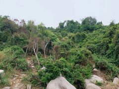 -火炉山森林公园