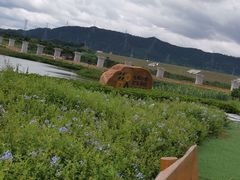 -光明小镇欢乐田园