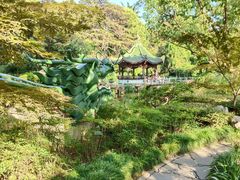 -申粤轩酒楼·三十年粤菜经典(丁香花园店)
