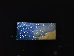 -博纳国际影城IMAX(中央大道店)