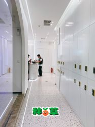 -G-SAGA形象设计