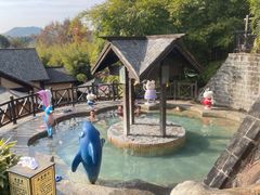 -崇阳三特浪口温泉