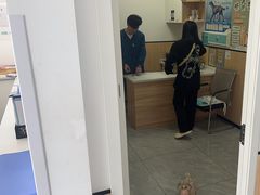 -瑞派雷欧宠物医院·24h夜诊·心脏骨科牙科·全科重症转诊中心(无影山店)