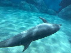 -福州罗源湾海洋世界旅游区