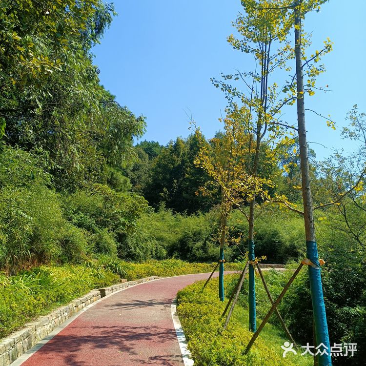 玉峰山临崖步道