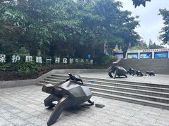 -广东惠东海龟国家级自然保护区