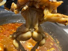 -老天桥蛙炉火锅(姑苏总店)