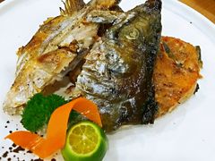 盐烧三文鱼头-赤稻·日式料理(禅城店)