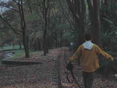 -共青国家森林公园-售票处