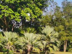 -中国科学院西双版纳热带植物园
