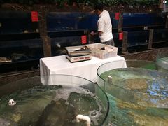 -百姓渔村(南中环店)