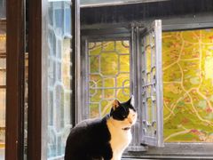 -猫的天空之城概念书店(杭州南宋御街店)