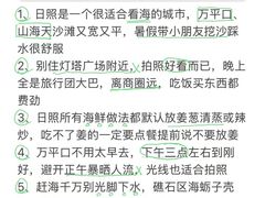 -日照海滨国家森林公园