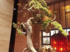 -南堂館川菜文化餐厅(天府店)