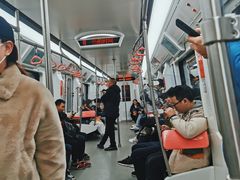 -大龙山(地铁站)