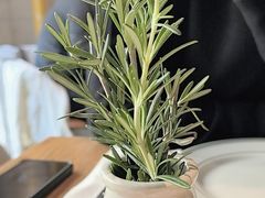 -La Strada(安福路店)