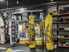 -天行健身＆天行拳馆跆拳道·格斗TXGYM