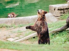 -杭州野生动物世界