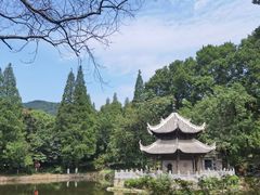 -习家池