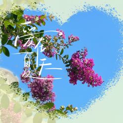 -章光101防脱养发荟