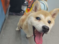 -联合动物医院(光谷诊疗中心)