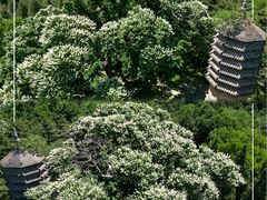 -潭柘寺景区