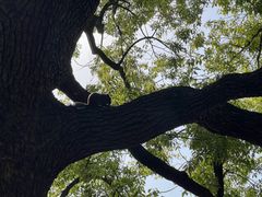 -西湖游船