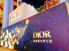 -Dior迪奥(上海世茂广场店)