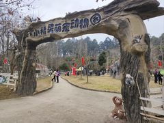 -都江堰玫瑰花溪谷