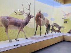 -国家自然博物馆