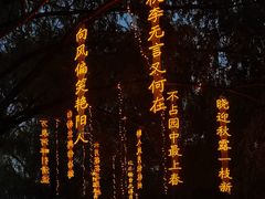 -万泉公园