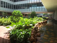-香港大学