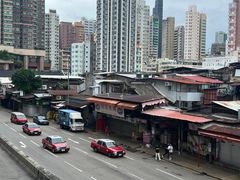 -油麻地果栏
