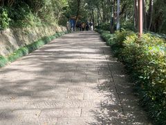 -杭州半山国家森林公园