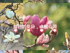 -烈士陵园(地铁站)