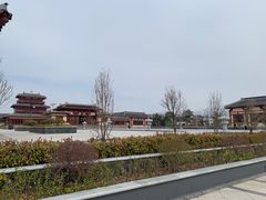 -洛阳古墓博物馆