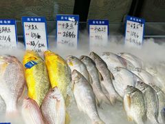 -闽海肴(北辰荟店)
