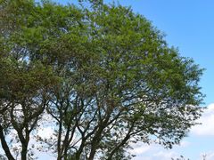 -东钱湖旅游度假区