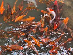 -灵栖洞天