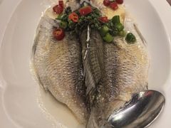 -海派悦庭·海胆烧麦·新融合菜(凯德广场店)