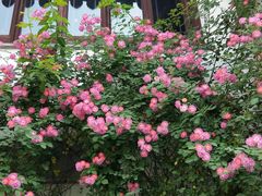 -苏州文旅花间堂·探花府酒店