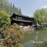 古树紫藤花开季