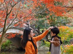 -田野绿世界
