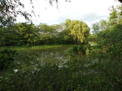 -新江湾城公园