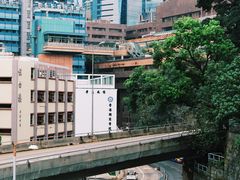 -香港大学