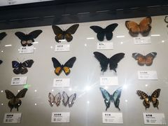 -四川大学博物馆