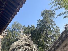 -潭柘寺景区