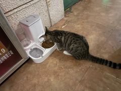 -逃脱反斗城沉浸剧情密室(北京路店)