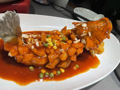 特色松鼠鱼（苏州招牌菜）-姑苏家宴·苏帮菜·松鼠桂鱼(苏州总店)